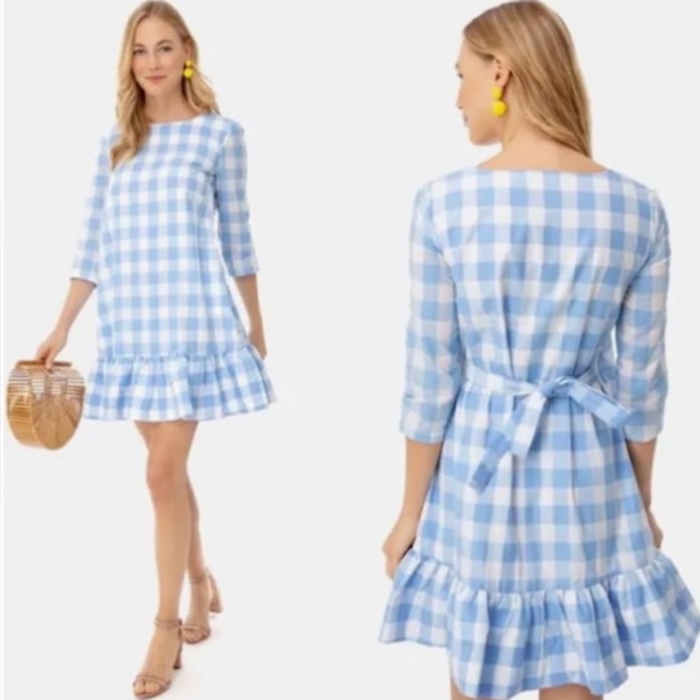 Tuckernuck Persifor Blue Gingham check Dress in size Large Nantucket prep